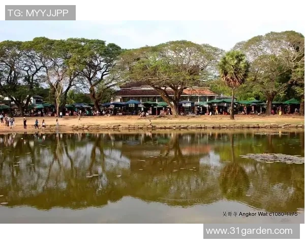 三分王昔日辉煌不再状态下滑未来该如何寻求新的出路与方向 三分王昔日辉煌不再状态下滑未来该如何寻求新的出路与方向