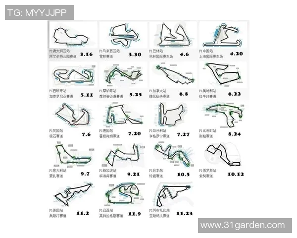 F1赛季车队策略调整与赛道适应性全面深度分析研究