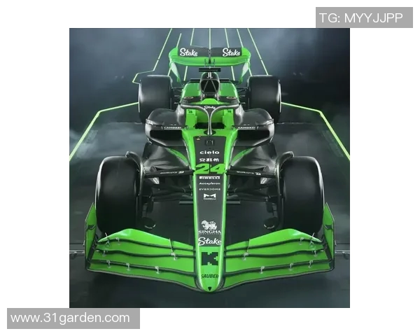 F1赛季车队竞争格局解析与未来发展趋势展望