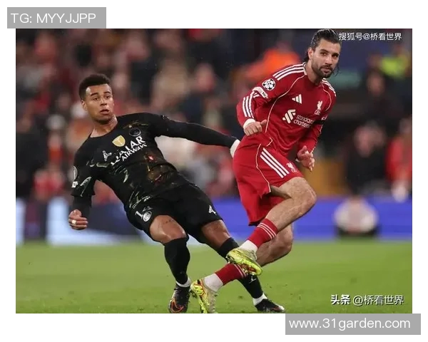 利物浦赛场突发小插曲裁判灵活处置引发球迷热议